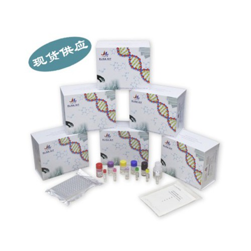 人胱天蛋白酶12(CASP12)ELISA检测试剂盒