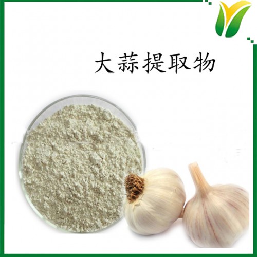 大蒜提取物 脱臭大蒜素1%大蒜粉植物提取物