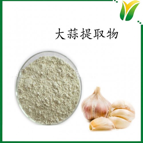 大蒜提取物 脱臭大蒜素2% 大蒜萃取粉植物提取物