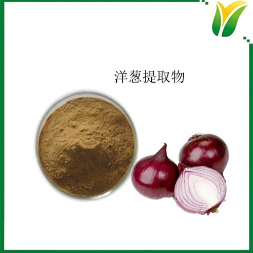洋葱提取物5：1 球葱比例提取物 植物提取物