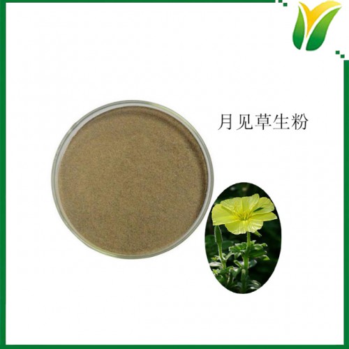 月见草粉 晚樱草生粉 月见草生粉 植物提取物
