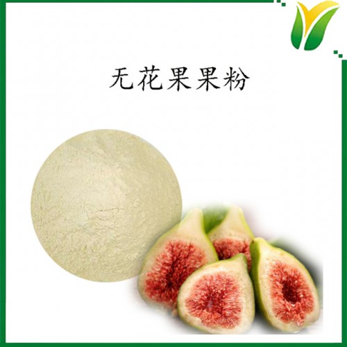 无花果粉 无花果提取粉 植物提取物