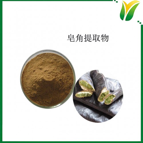 皂角提取物5:1 皂荚提取粉 植物提取物