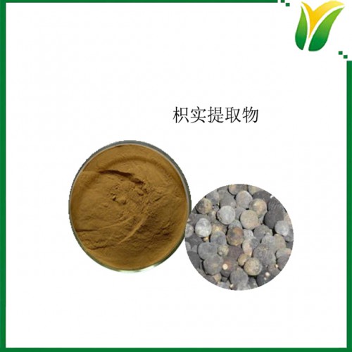 枳实提取物 鹅眼枳实提取粉5:1 植物提取物