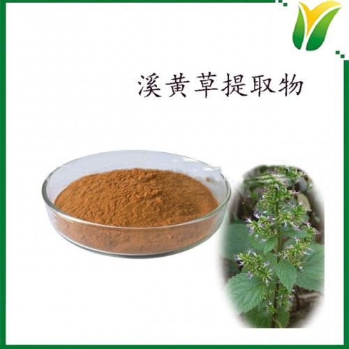 溪黄草提取粉 溪黄草黄酮10%植物提取物
