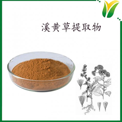 溪黄草提取物 植物提取物 溪黄草黄酮5%