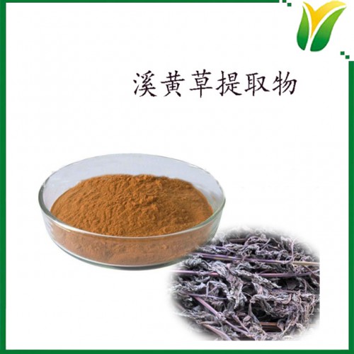 溪黄草提取物10：1 土黄连水提取粉 植物提取物