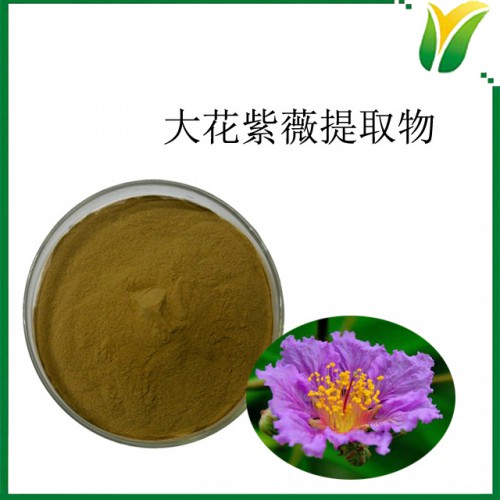 大花紫薇提取物10:1 大叶紫薇提取物 植物提取物