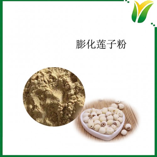 膨化莲子粉 莲子原粉食品 植物提取物