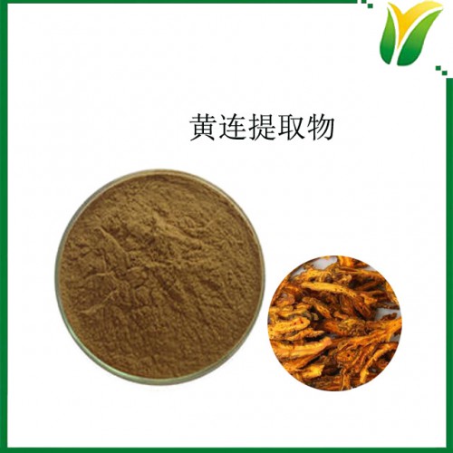 黄连提取物5:1 味连比例萃取粉 植物提取物