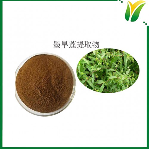 墨旱莲提取物10:1 旱莲草 萃取粉植物提取物