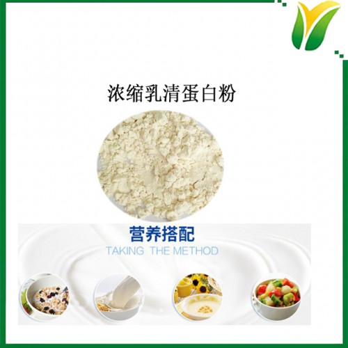 蛋白粉 浓缩乳清蛋白粉 热稳型蛋白质粉