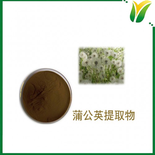 蒲公英提取物10:1植物提取物 黄花地丁萃取 可水溶 现货