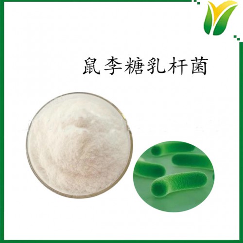 鼠李糖乳杆菌1000CFU/g鼠李糖益生菌冻干粉植物提取物