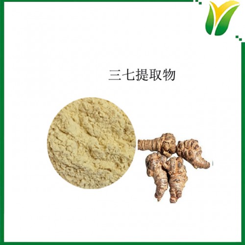 三七提取物 三七总皂苷80% 三七根植物提取物
