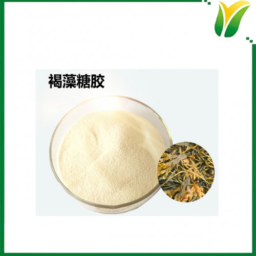 褐藻糖胶30%  岩藻多糖 褐藻萃取粉 植物提取物