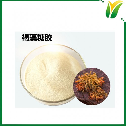 褐藻糖胶98% 褐藻提取提取物 褐藻多糖硫酸酯 植物提取物