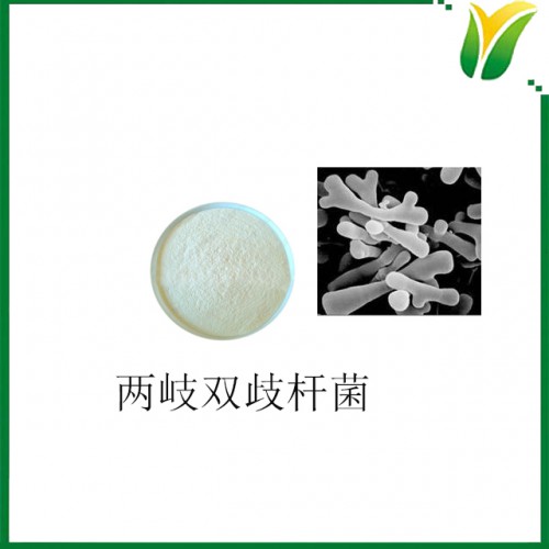 两岐双歧杆菌 规格1000cfu/g 乳酸菌粉 植物提取物