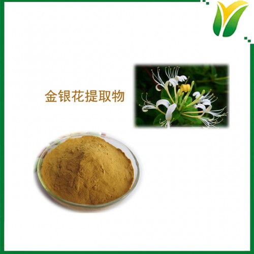 金银花绿原酸 植物提取物比例粉5：1金银花粉饲料原料