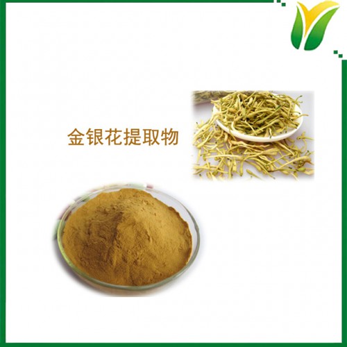 金银花提取物 金银花绿原酸5% 金银藤植物提取物粉末