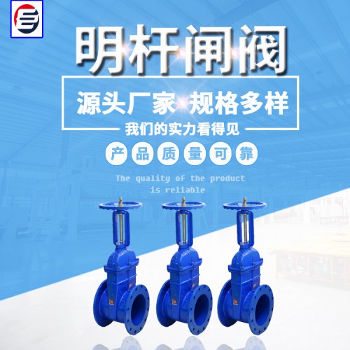 伸缩弹性座闸阀 明杆闸阀 高压电站闸阀 闸阀厂家