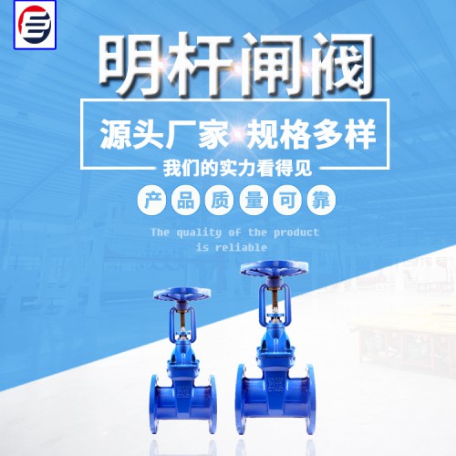 真空法兰闸阀 明杆闸阀 高压电站闸阀 快速排污闸阀