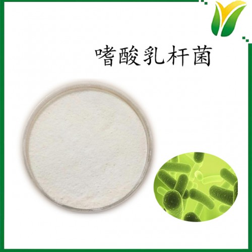 嗜酸乳杆菌1000CFU/g 乳酸菌 益生菌粉 植物提取物