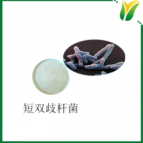 短双岐杆菌1000CFU/g 短双岐冻干益生菌粉 植物提取物
