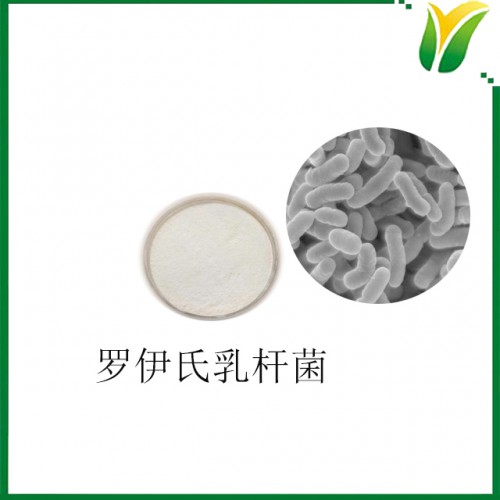 罗伊氏乳杆菌 1000cfu/g活菌 植物提取物