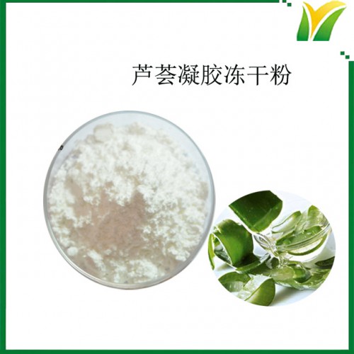芦荟凝胶粉 芦荟粉200:1 芦荟冻干粉 芦荟 植物提取物