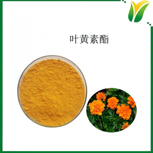 万寿菊提取物 叶黄素酯20% 叶黄素酯粉 万寿菊植物提取物粉