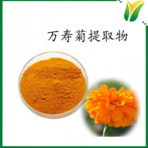 万寿菊提取物 叶黄素5% 万寿菊植物提取物