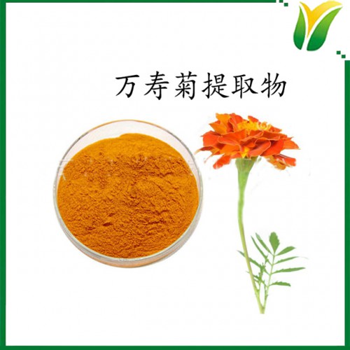 叶黄素酯5% Lutein ester 万寿菊植物提取物