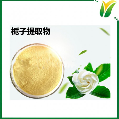 栀子提取物10：1 黄栀子比例提取粉 山栀子植物提取物