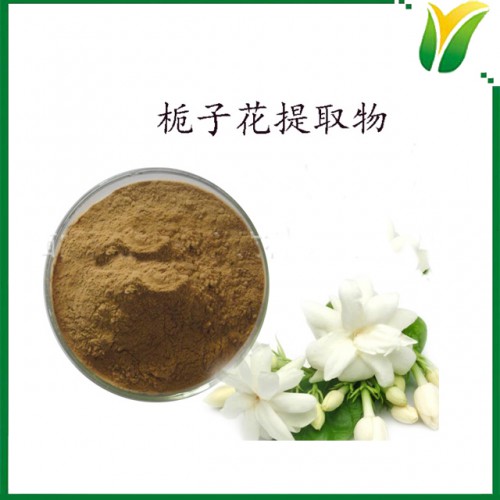 栀子花提取物10:1  比例萃取 栀子花植物提取物