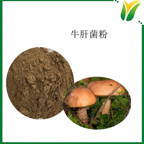 牛肝菌粉 牛肝菌生粉  见手青子实体粉 植物提取物