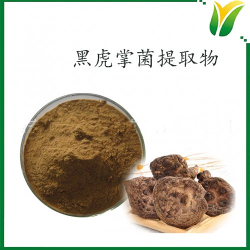 黑虎掌菌提取物5:1 黑虎掌菌子实体 植物提取物