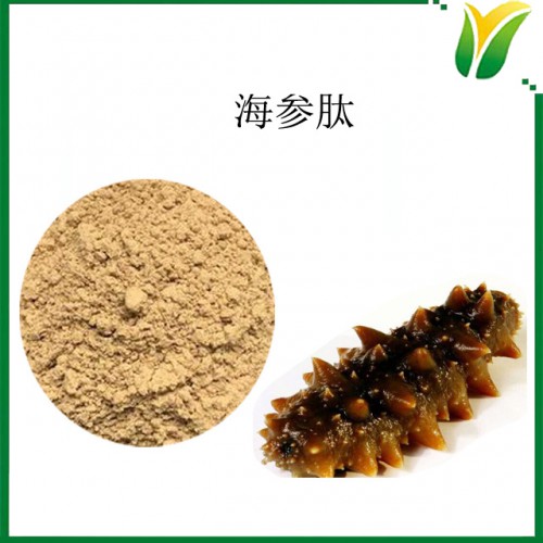 海参肽粉≥80%  小分子活性肽 植物提取物