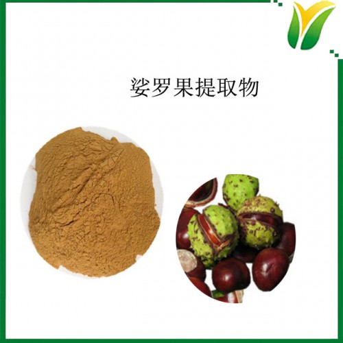 娑罗果提取物5:1 娑罗果提取粉 植物提取物