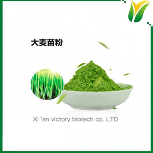 大麦苗粉500目 大麦嫩苗粉 大麦苗粉