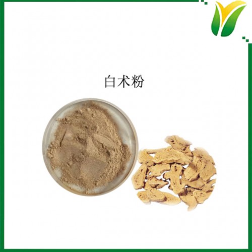白术粉 白术生粉 白术原料粉 植物提取物