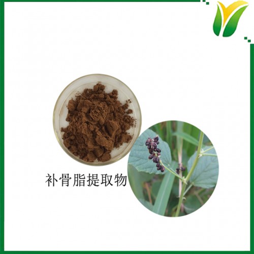 补骨脂取物 补骨脂比例萃取粉 植物提取物