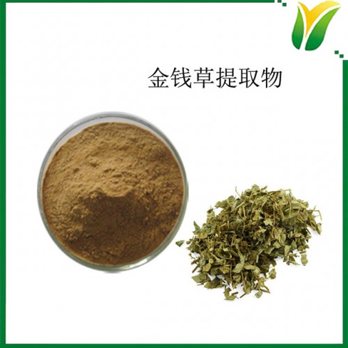 金钱草提取物5:1 过路黄提取物 植物提取物