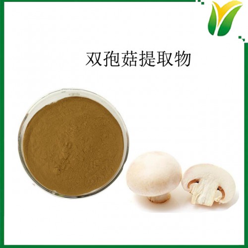 双孢菇多糖 50% 双孢菇提取物 双孢菇萃取粉植物提取物