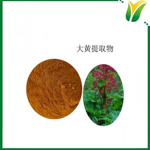 大黄提取物5:1 掌叶大黄提取物 植物提取物
