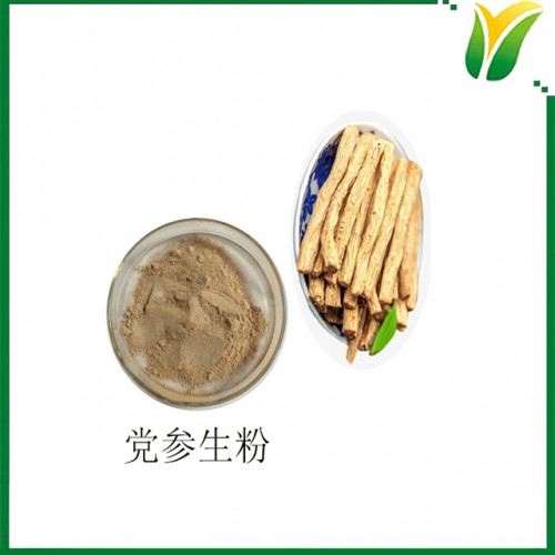 党参生粉 党参根粉 黄参粉