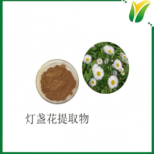 灯盏花提取物 灯盏花萃取物 植物提取物