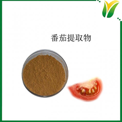 番茄提取物10:1 西红柿提取粉 植物提取物