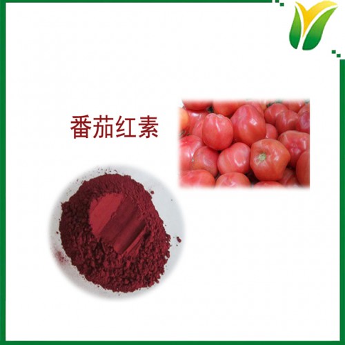 植物提取物 番茄提取物 番茄红素6%