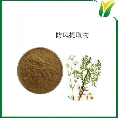 防风提取物 防风根提取物5:1 植物提取物